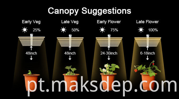 Heat Lamp For Plants